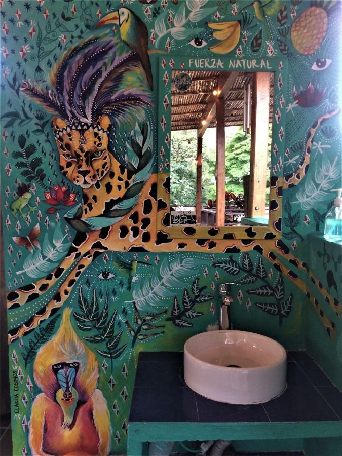 Hostal Casa Kiwi