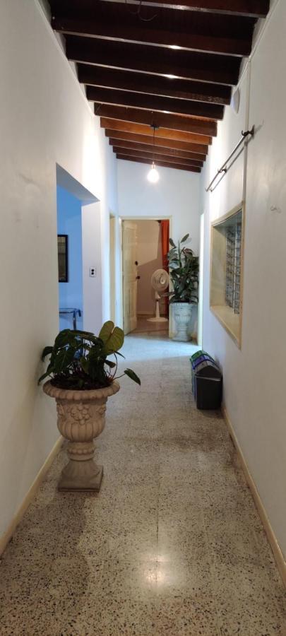 Básico Medellín Hostel Medellín
