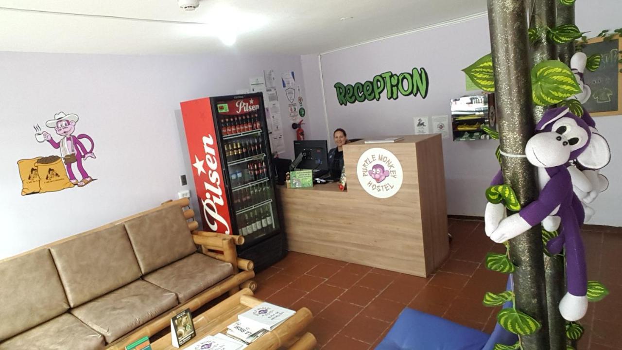 Hostel Purple Monkey