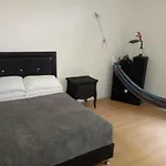 Bambú Glamping Ecolodge