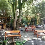 Bambú Glamping Ecolodge