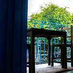 Casa Mostaza