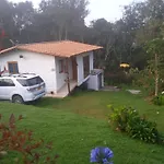 alto palmas 2.0