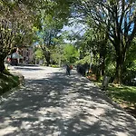 Apartamento En Tricentenario