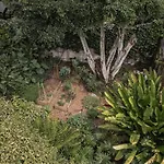 Ep Casa Uribe Architecture Art & Nature