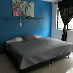 Conomad House