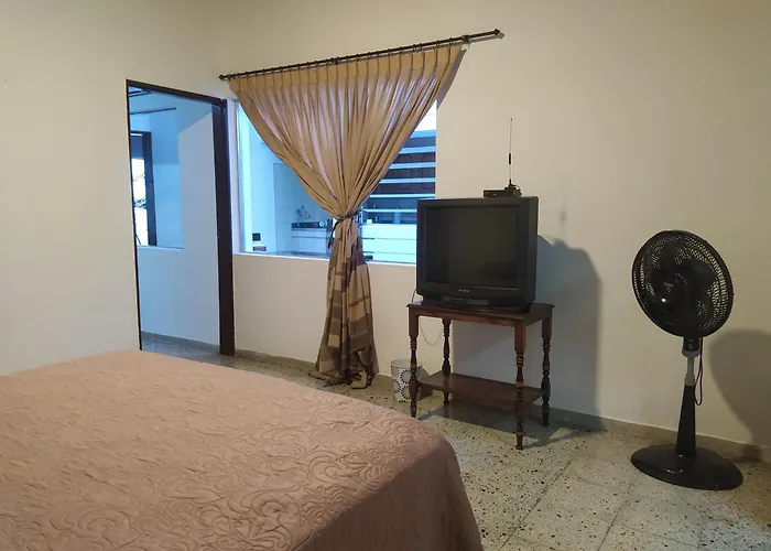 The Flora House - Espacio Seguro, Amplio Y Acogedor