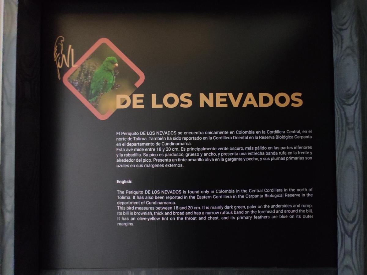Boutique Nido De Loros