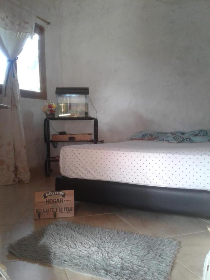 Alto Palmas 2.0 *