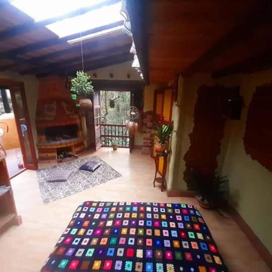 Botanico