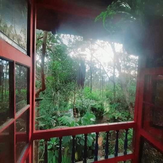 Botanico Pensión Medellín