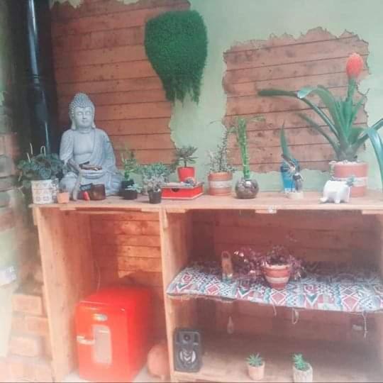 Pensión Botanico