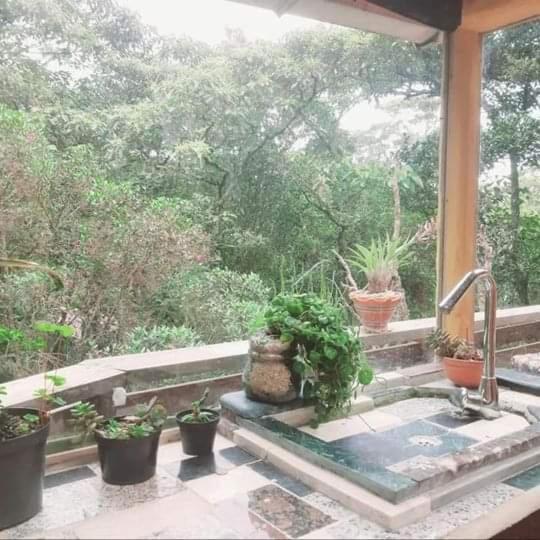 Pensión Botanico Medellín