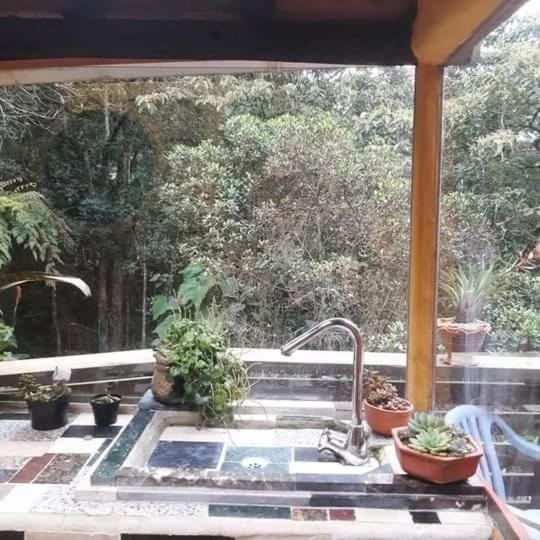 Pensión Botanico Medellín