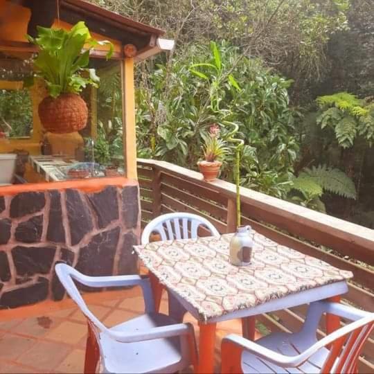 Botanico * Medellín
