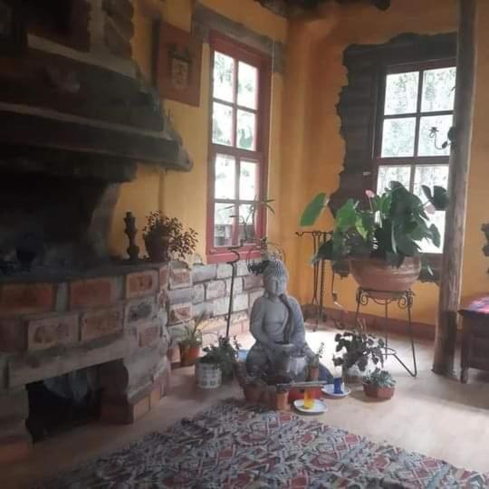 Pensión Botanico *