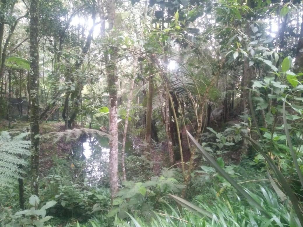 Botanico Medellín