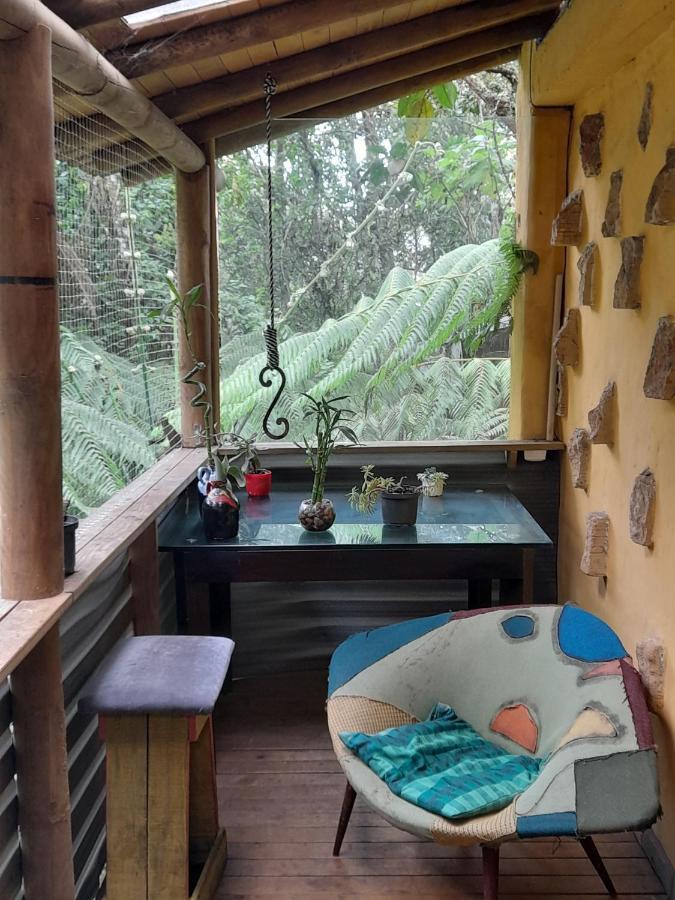 Botanico Pensión *