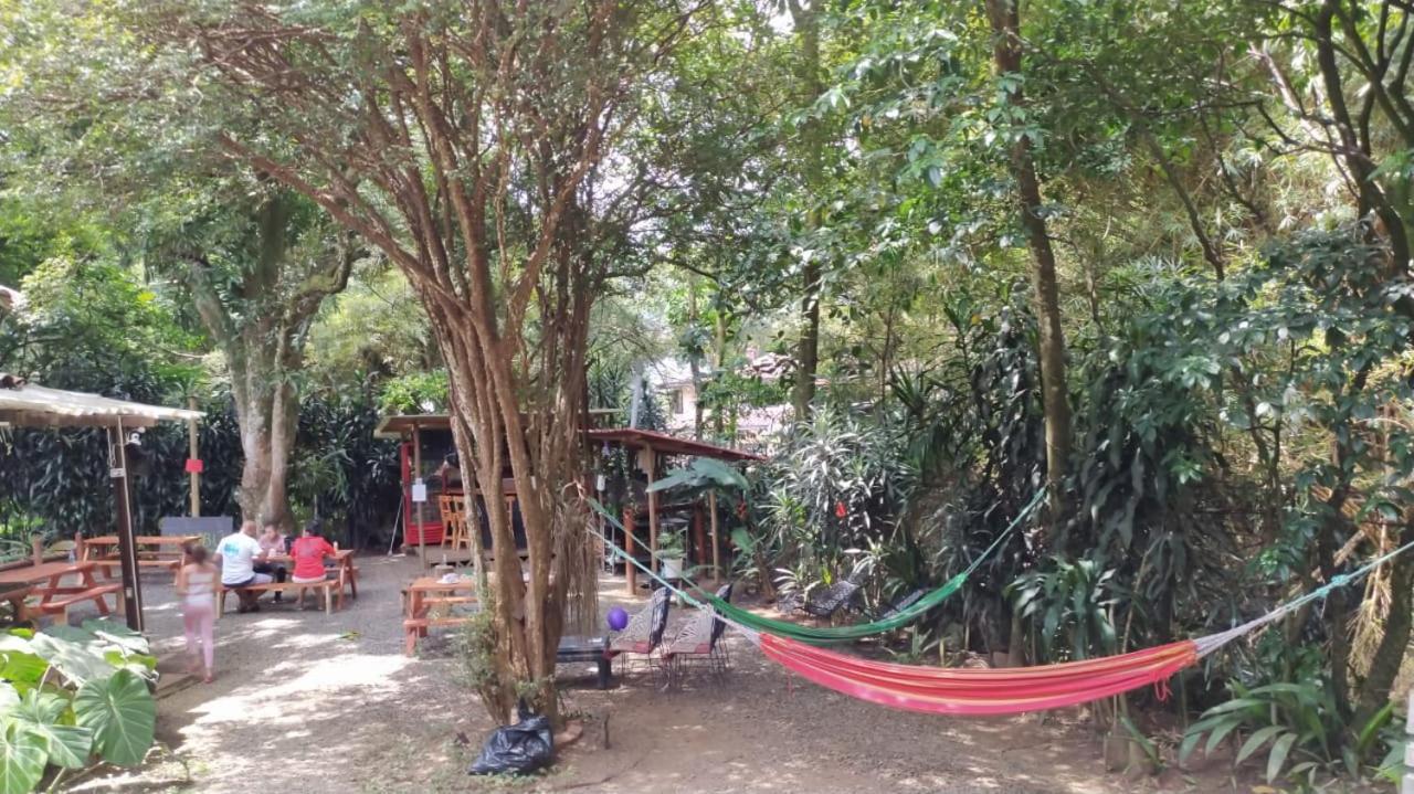 Lodge Bambú Glamping Ecolodge *