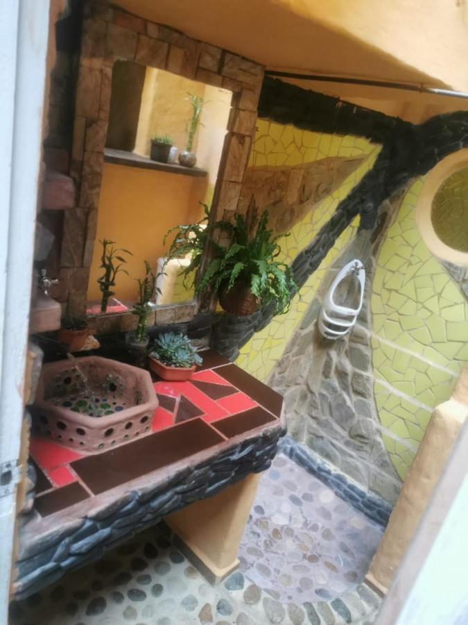 Pensión Botanico