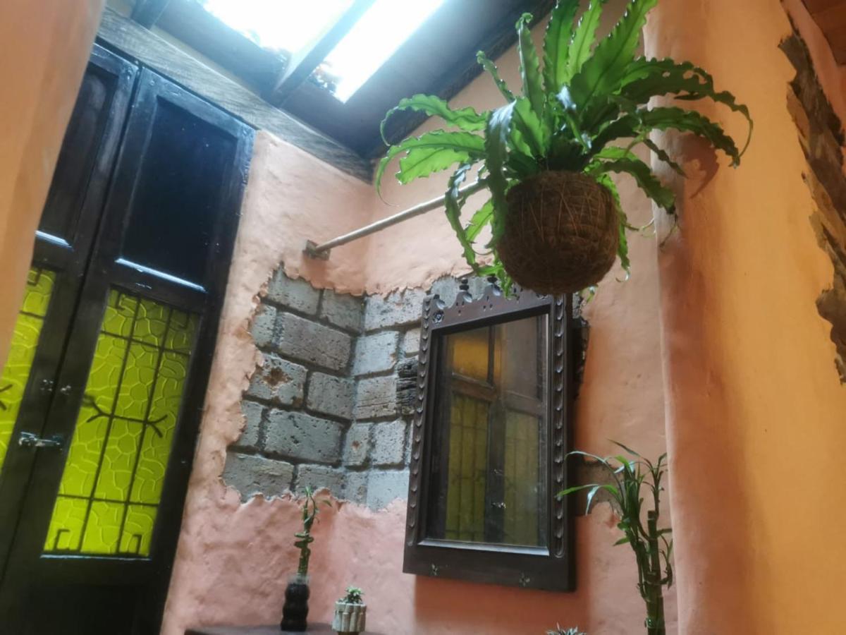 Pensión Botanico