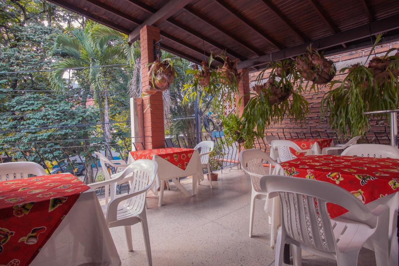 Palma De Sevilla Medellín