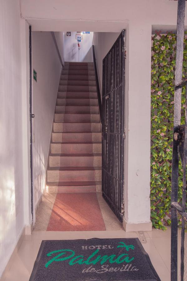 Palma De Sevilla * Medellín