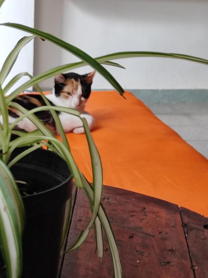 Pensión Serrania Medellín