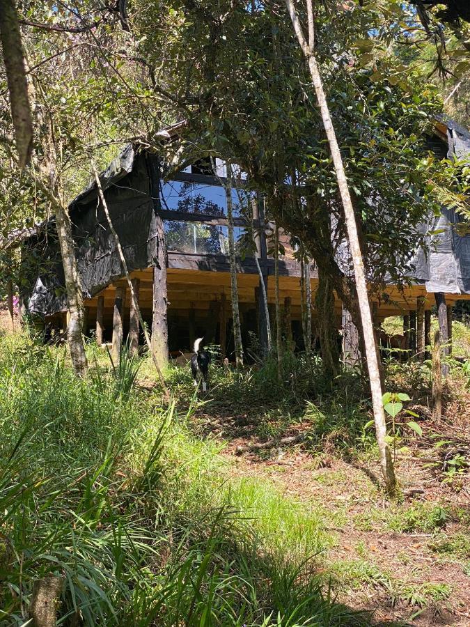 Chalet Ecoaldea, Cabaña En La Naturaleza