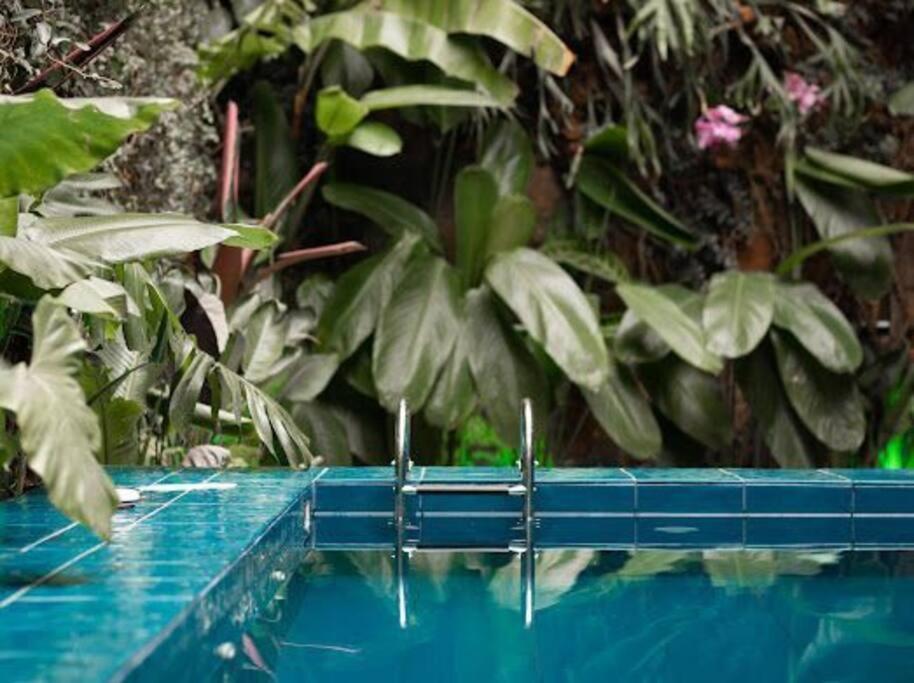 Villa Medallo House Parque Lleras Con Piscina Poblado Provenza Medellín