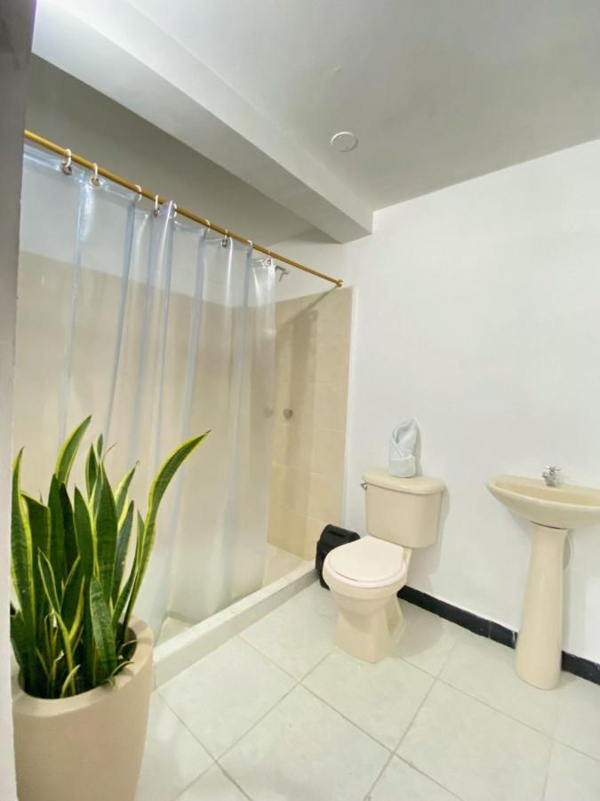 Casa Palermo Hotel 3*