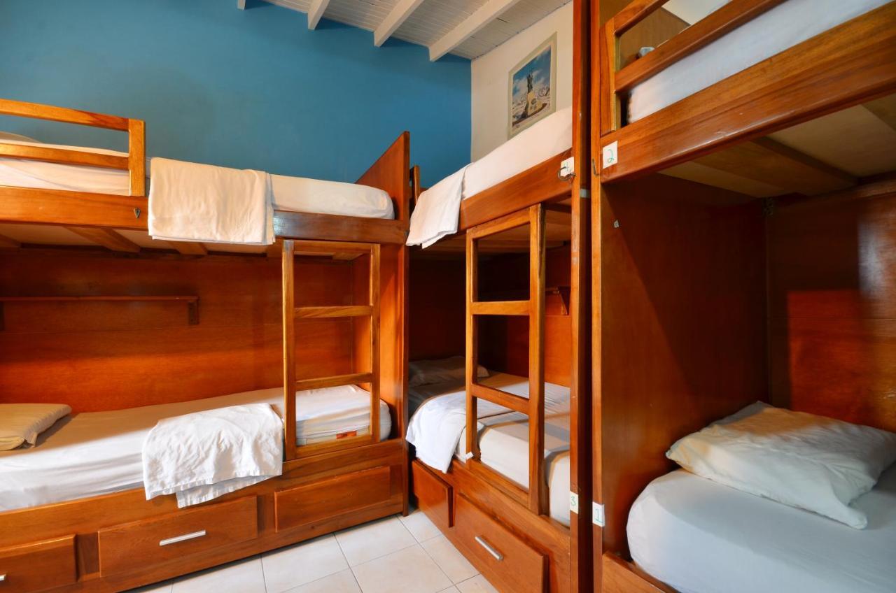 Hostel The Wandering Paisa (adults Only) *