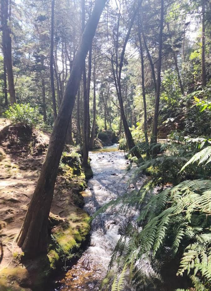 Сasa de vacaciones Alto Palmas 2.0