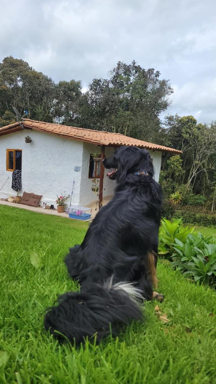 Alto Palmas 2.0 Сasa de vacaciones *