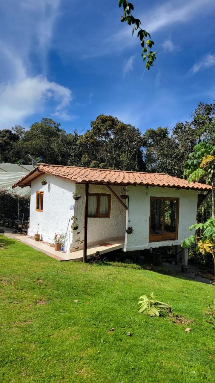 Alto Palmas 2.0 Сasa de vacaciones