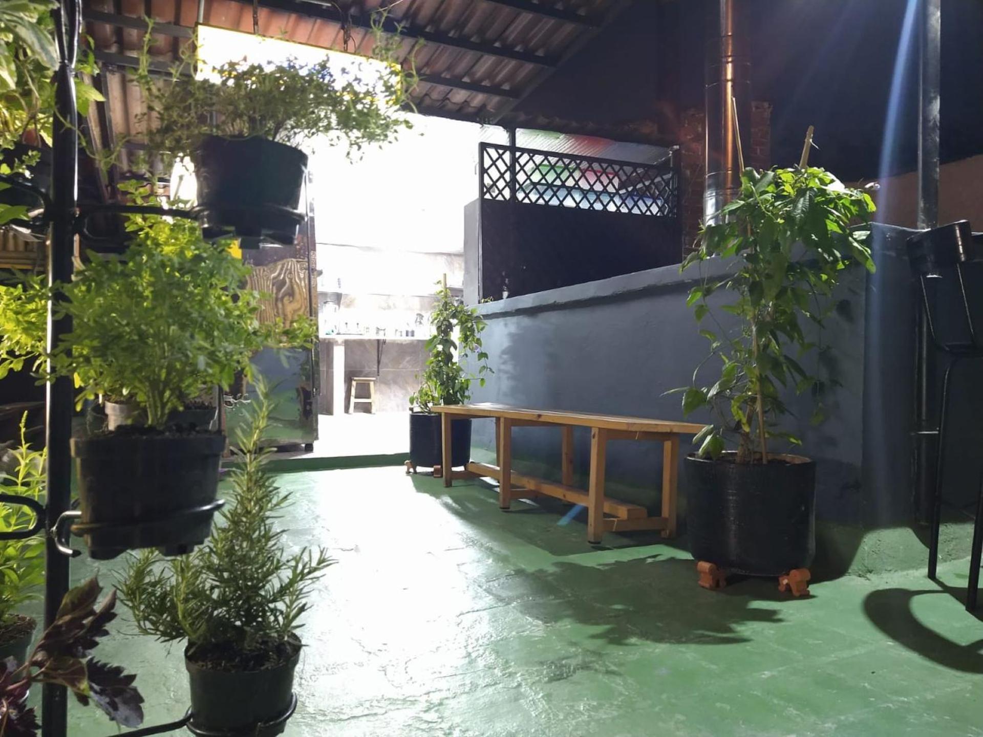 Hostel The Sugar Cane *