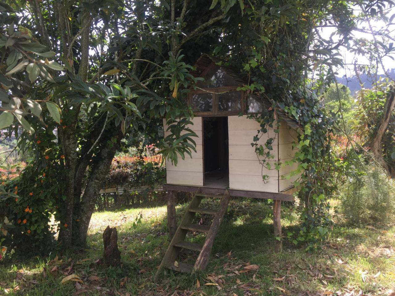 Espectacular Casa En El Corazon De Santa Elena