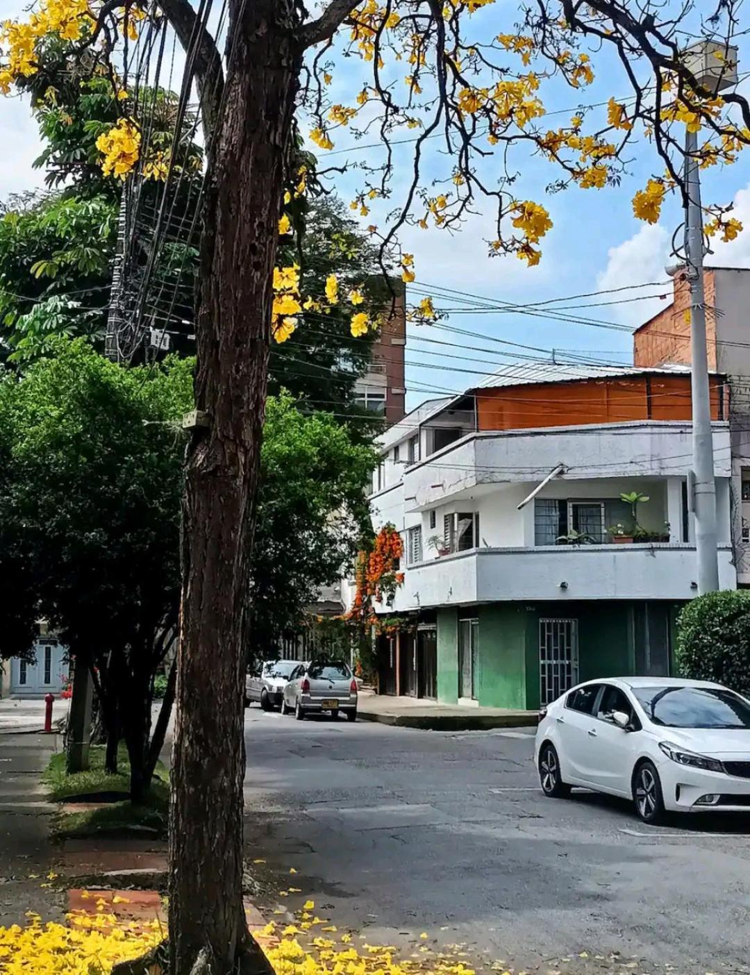 Loft Con Balcones En Belen