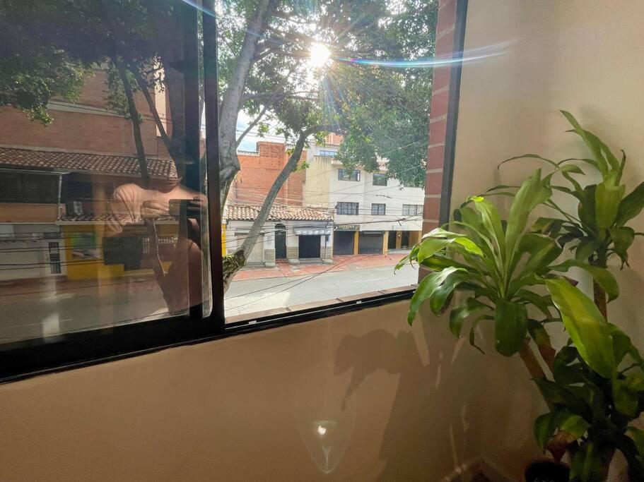 Descubre El Encanto Del Barrio Laureles