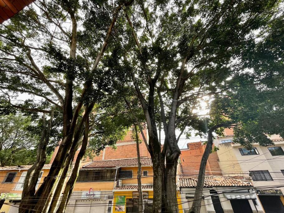 Descubre El Encanto Del Barrio Laureles Apartamento Medellín