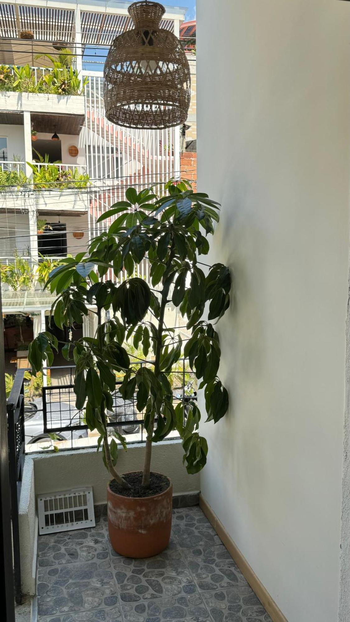Bed and breakfast Luum Casa Manila Medellín