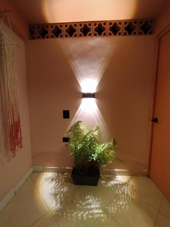 Pensión Casa Primavera