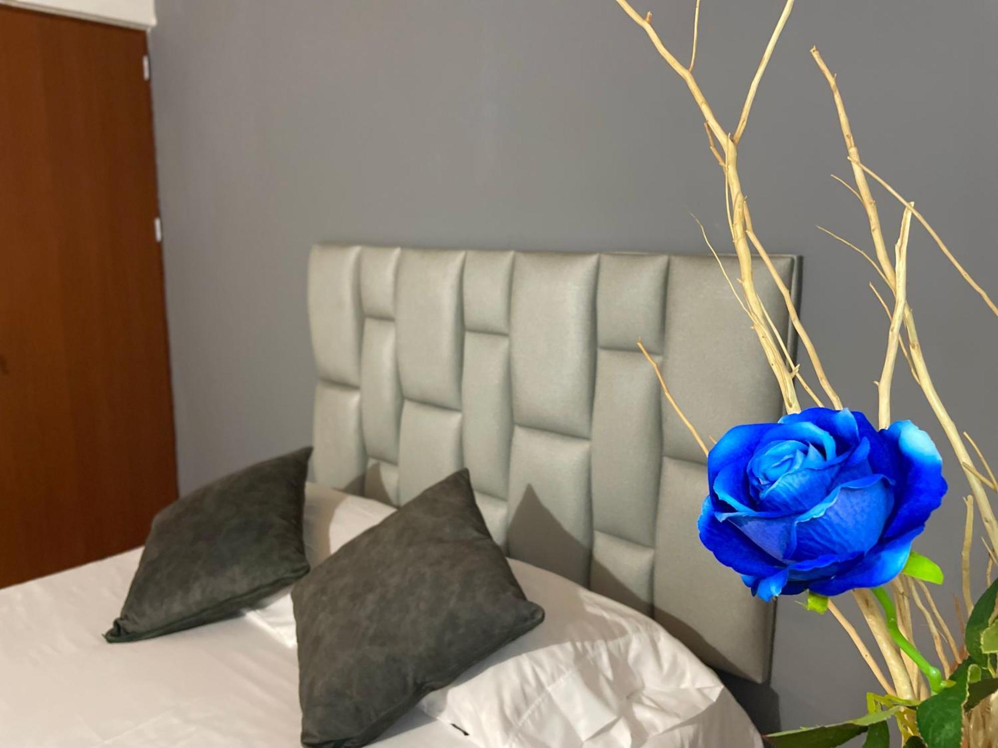 Homer Colors - Tu Hogar En 20 Personas Medellín