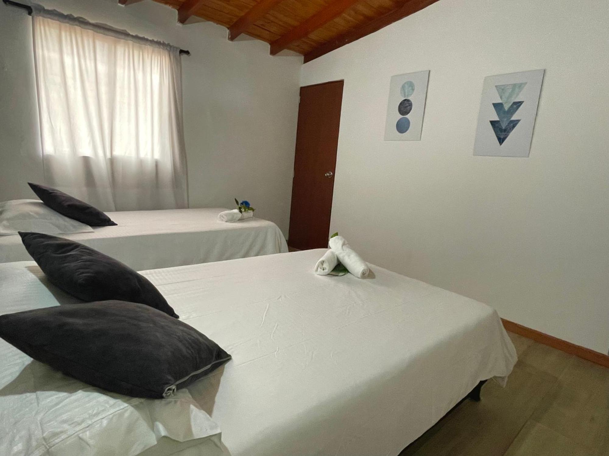 Homer Colors - Tu Hogar En 20 Personas Pensión Medellín