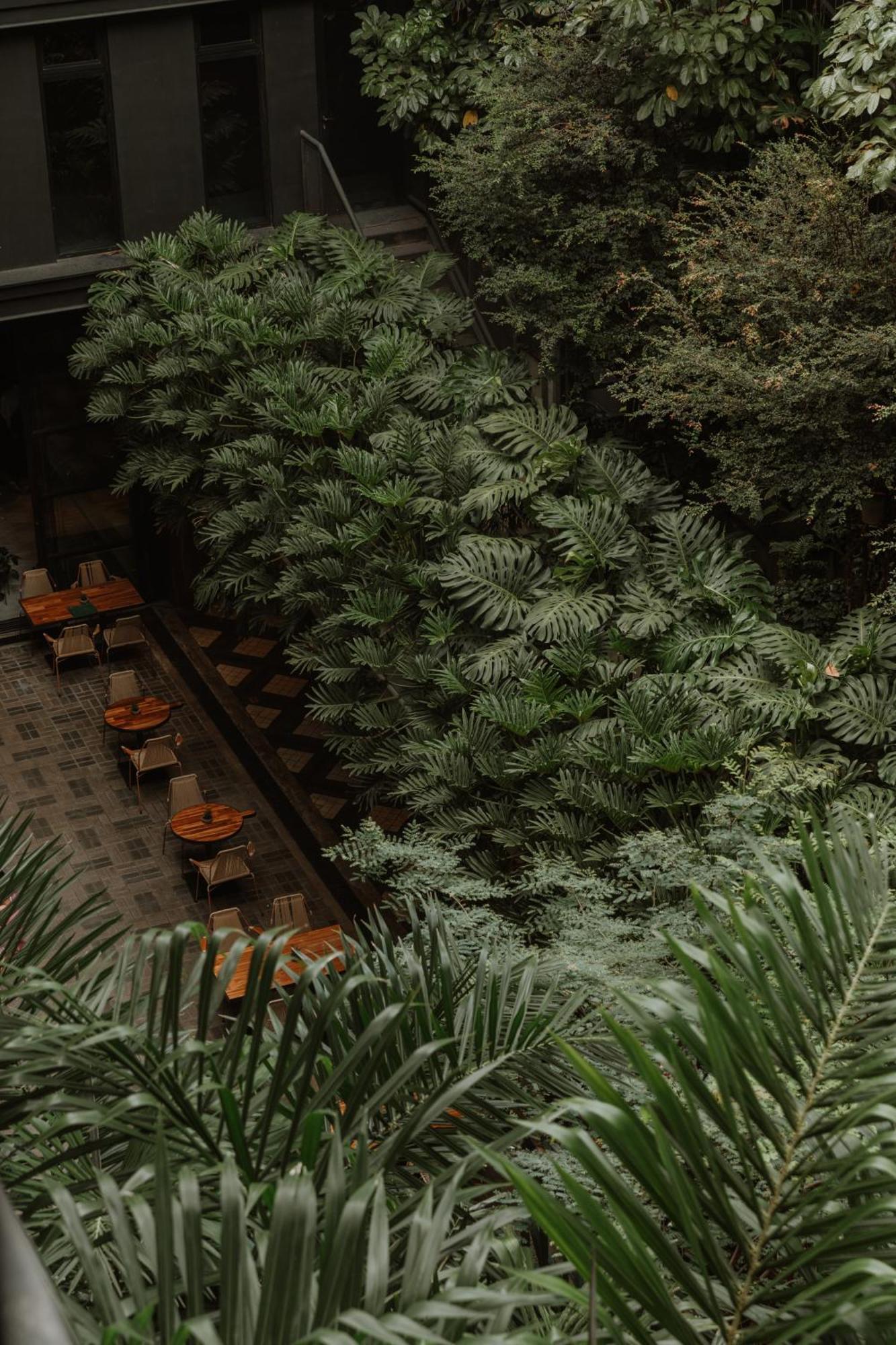 The Click Clack 5* Medellin