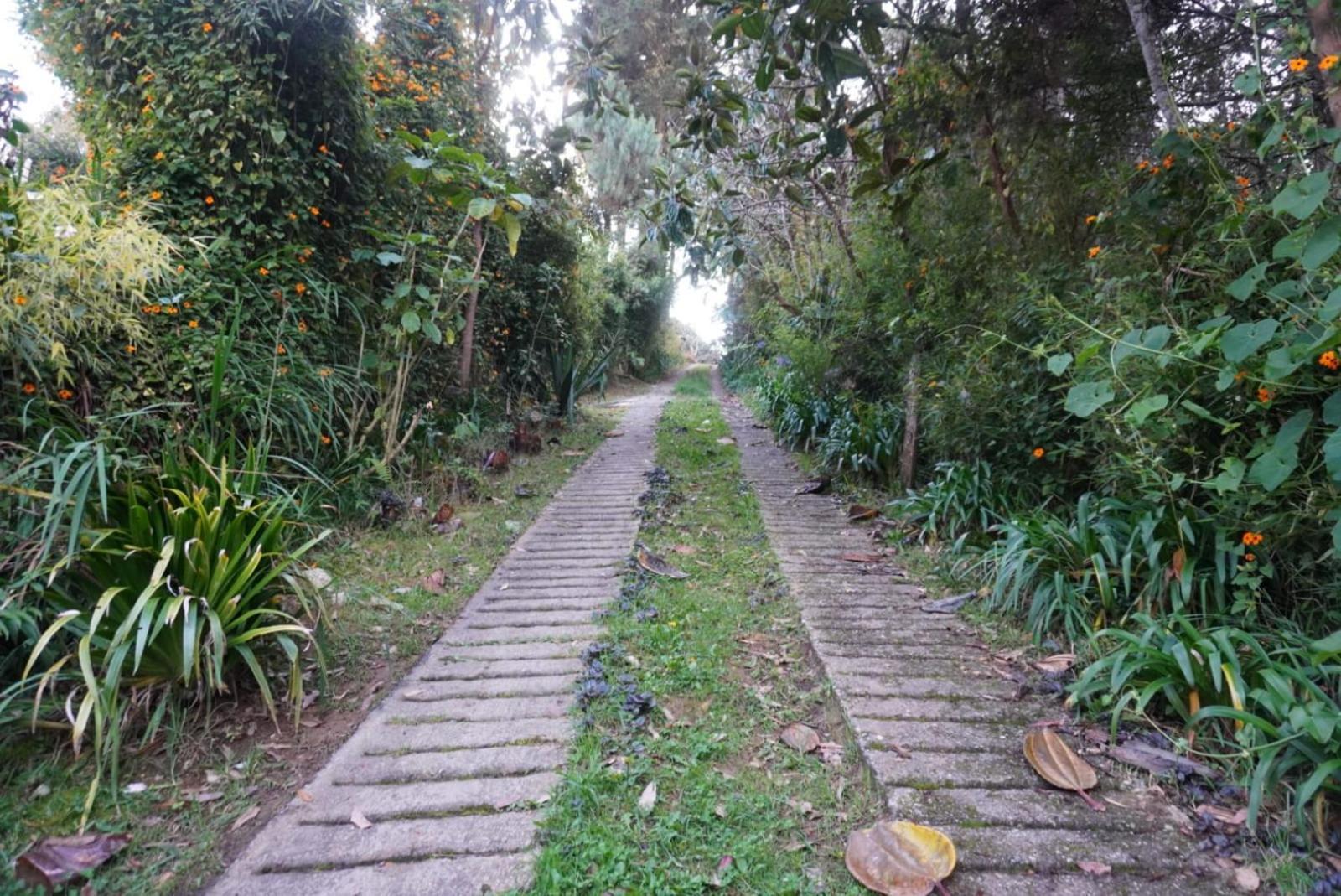 En Campestre Compartido Tipo En Santa Elena Cerca A Y Aeropuerto Jmc - Aru Medellín