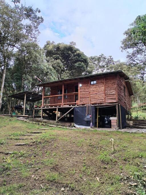 Canela Santa Elena - Medellín