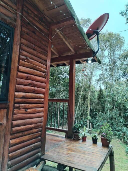 Canela Santa Elena -