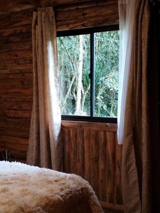 Canela Santa Elena - *