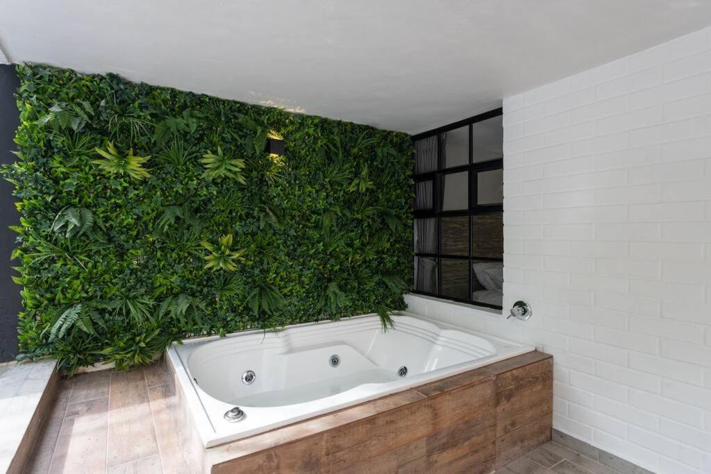 Nowa Provenza --private With Heated Pool & Medellín